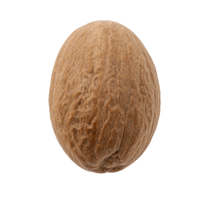 جوز هندی