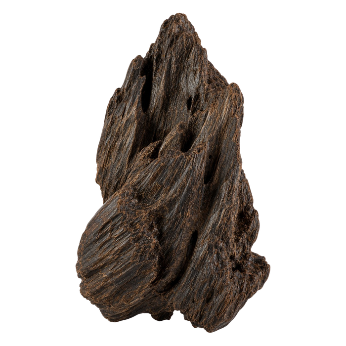 عود