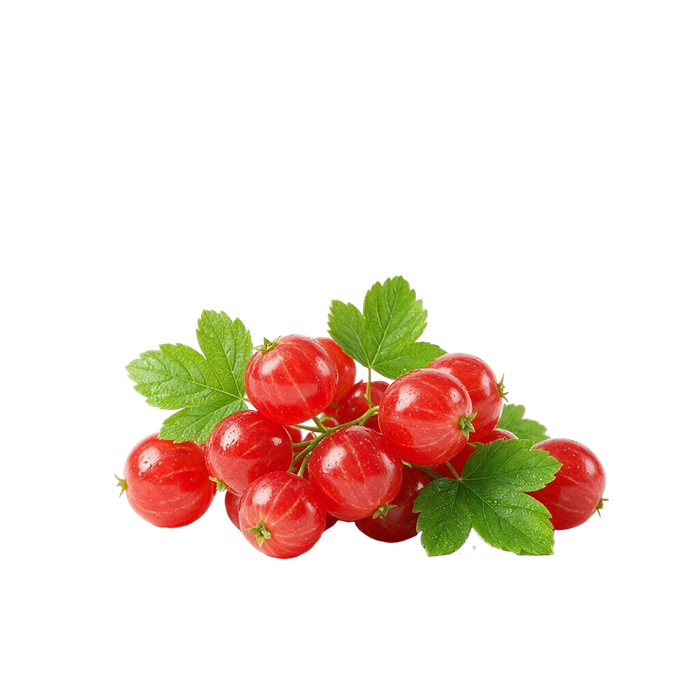 توت‌های قرمز