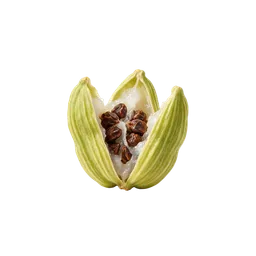 هل