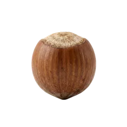 فندق