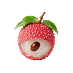 لیچی