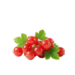 توت‌های قرمز