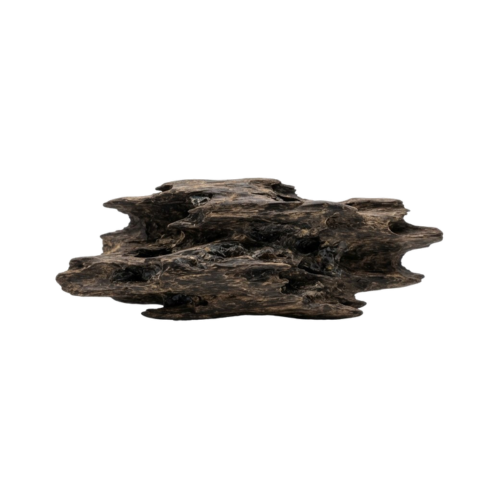 عود
